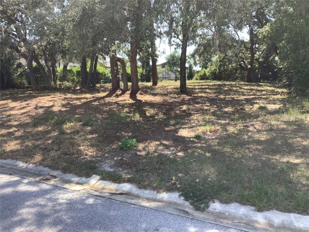 18657 White Pine Circle Hudson FL 34667 U8245764 image4
