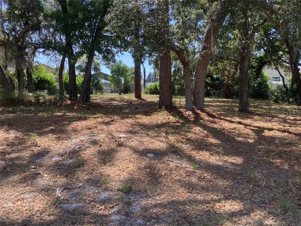 18657 White Pine Circle Hudson FL 34667 U8245764 image7