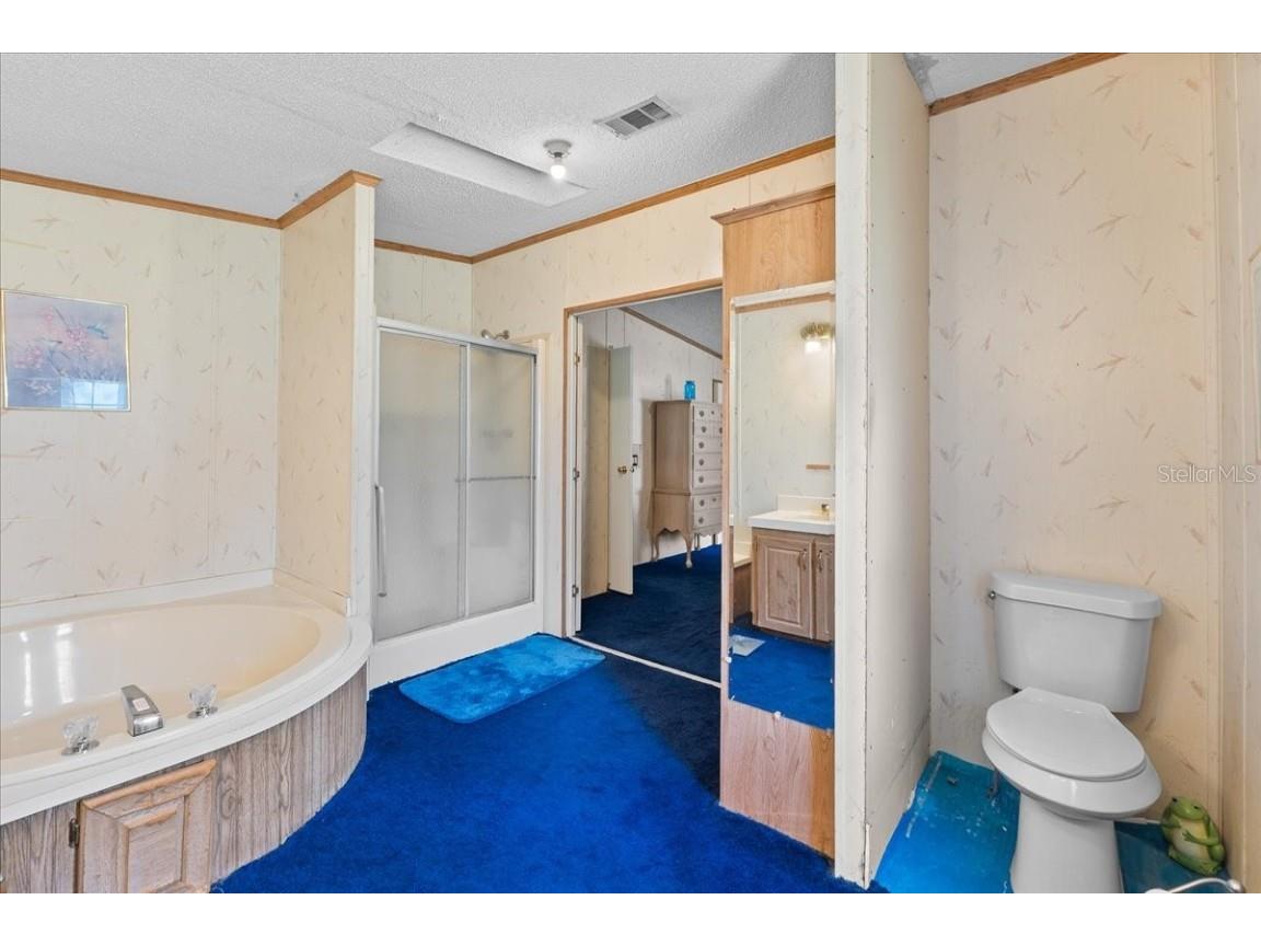 1866 Hacksaw Heights Trail Lake Wales FL 33898 P4936267 image23