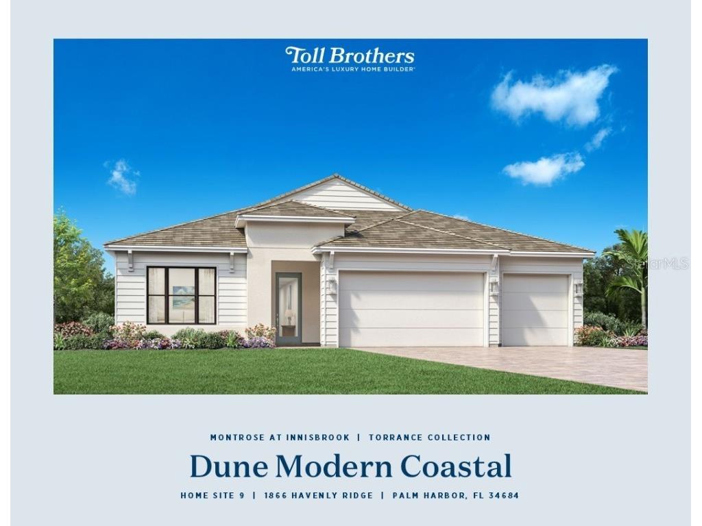 1866 Havenly Ridge Palm Harbor FL 34684 A4667667 image1