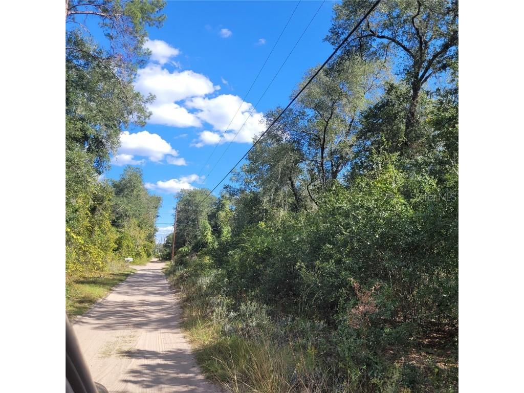 18660 SE 106th Place Ocklawaha FL 32179 OM666764 image1
