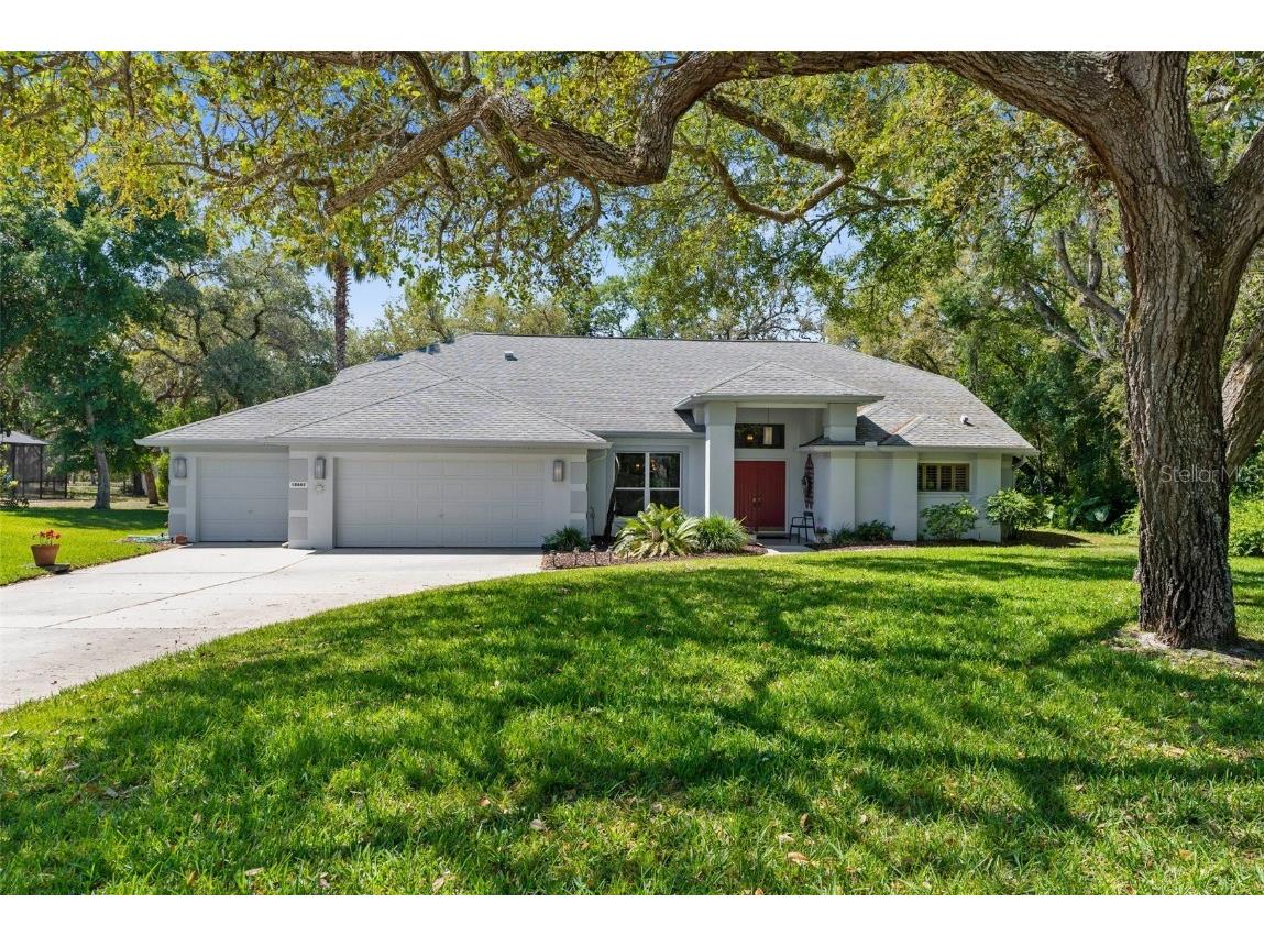 18663 Autumn Lake Boulevard Hudson FL 34667 W7874647 image1