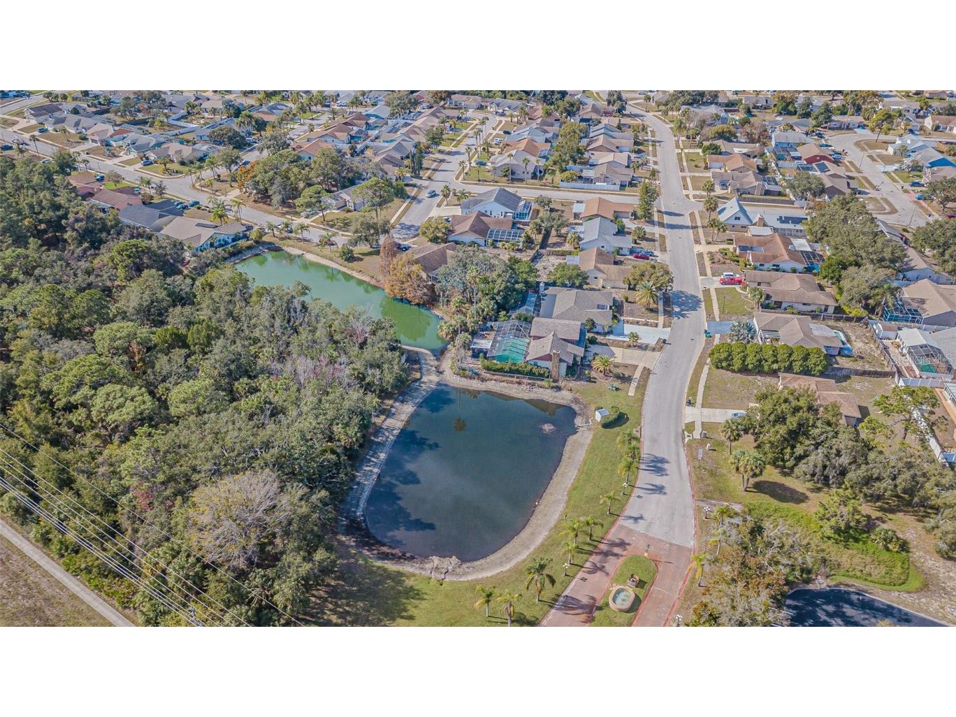 18664 White Pine Circle Hudson FL 34667 TB8455238 image41