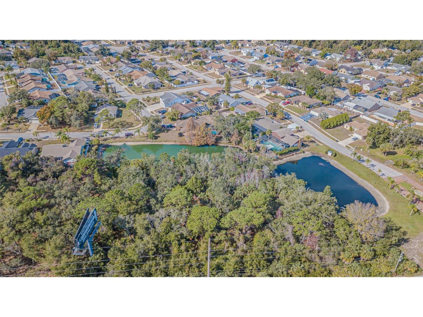 18664 White Pine Circle Hudson FL 34667 TB8455238 image42