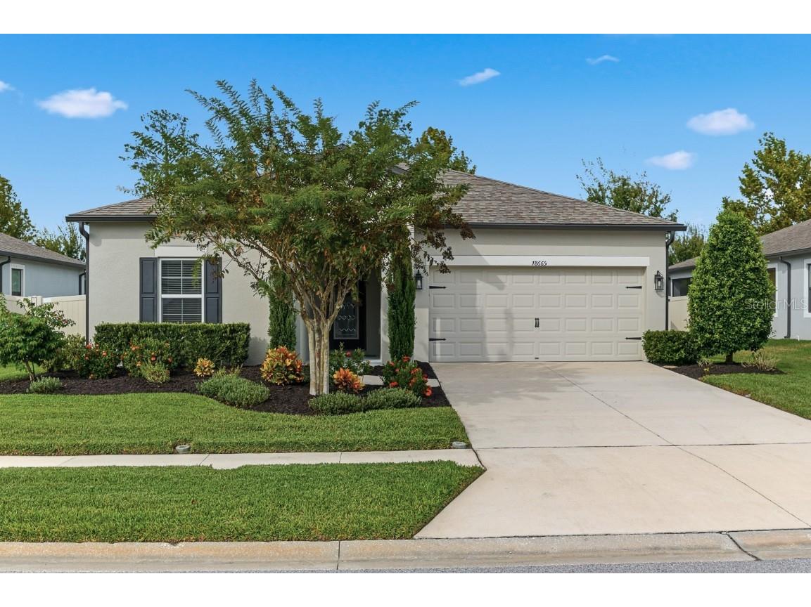 18665 Obregan Drive Spring Hill FL 34610 TB8441974 image1