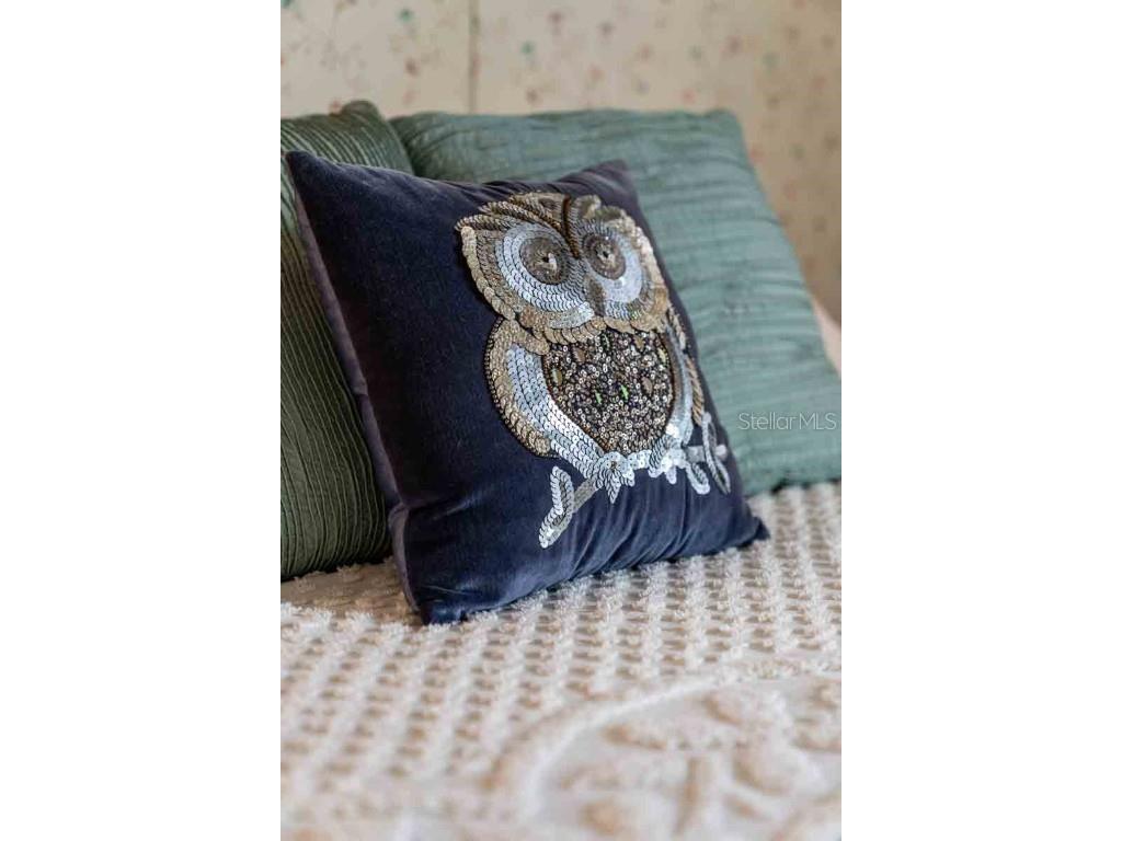 18675 Us Highway 19 N #173 Clearwater FL 33764 - OLD TAMPA BAY TB8445388 image46