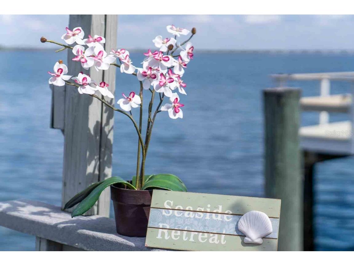 18675 Us Highway 19 N #173 Clearwater FL 33764 - OLD TAMPA BAY TB8445388 image53