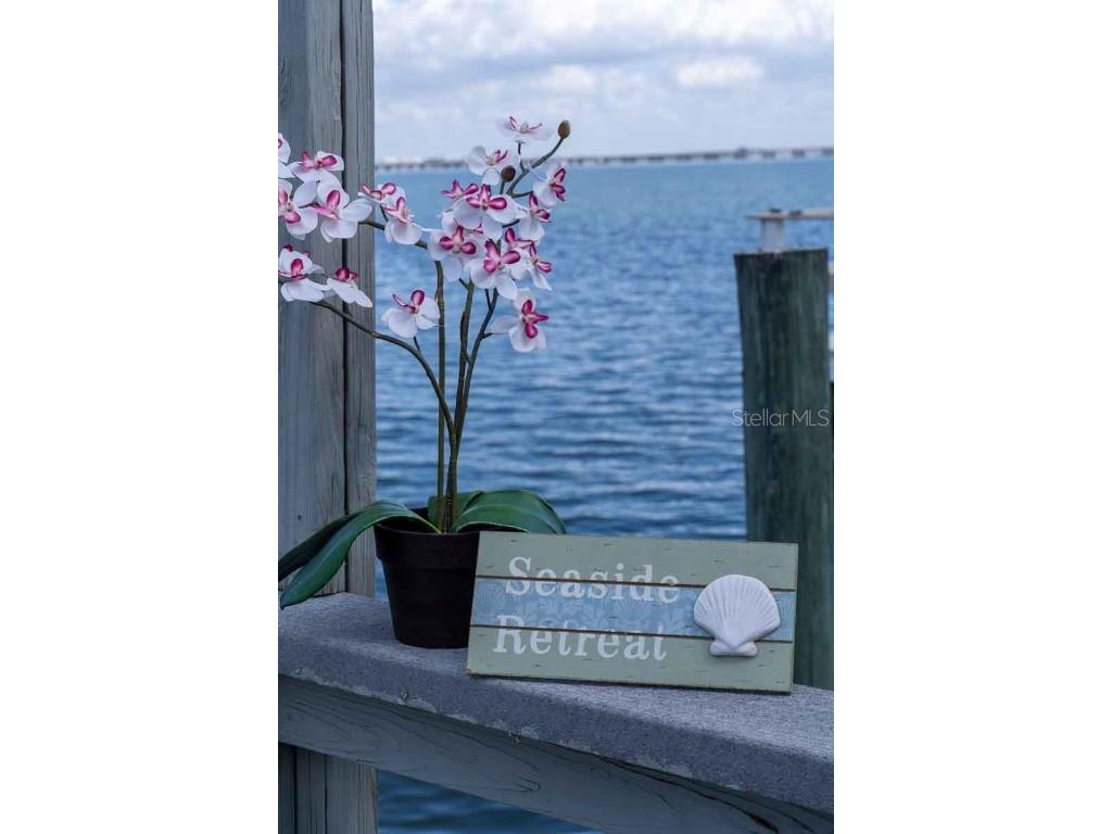 18675 Us Highway 19 N #173 Clearwater FL 33764 - OLD TAMPA BAY TB8445388 image54