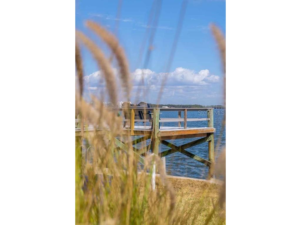 18675 Us Highway 19 N #173 Clearwater FL 33764 - OLD TAMPA BAY TB8445388 image91