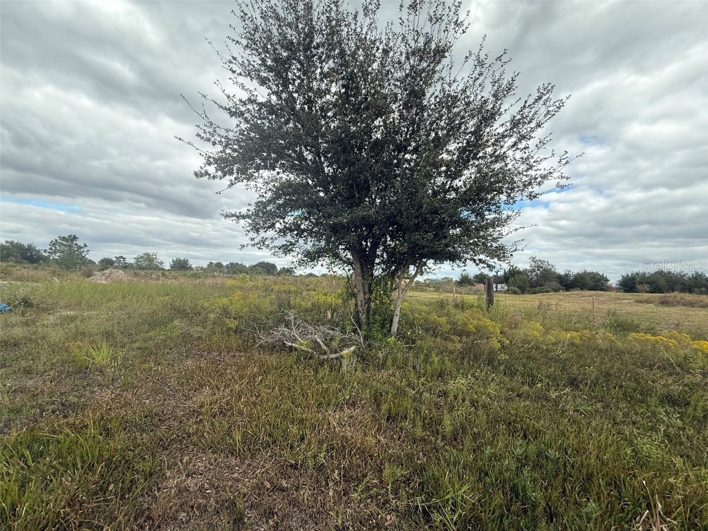 18677 NW 270th Street Okeechobee FL 34972 OK225707 image4