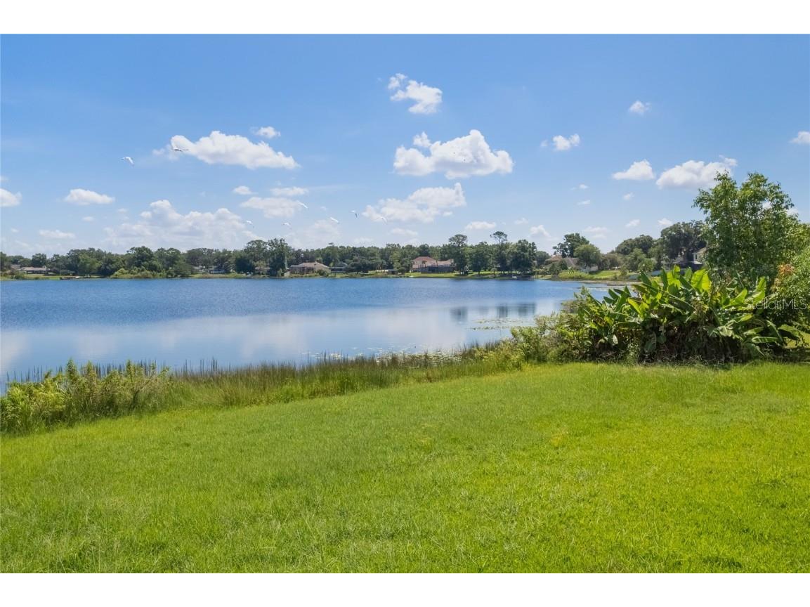 1868 Marsh Wren Court Ocoee FL 34761 O6323990 image44