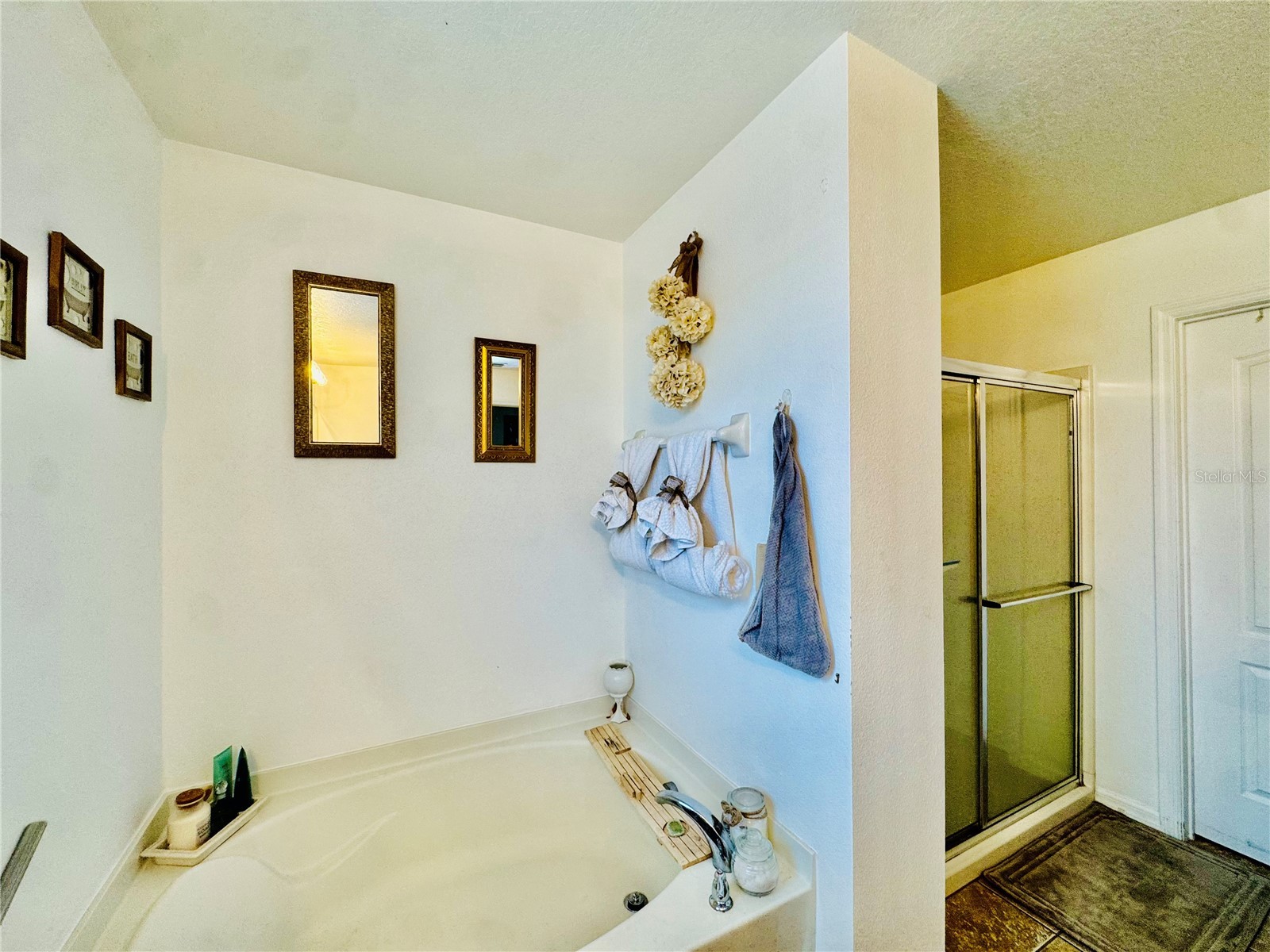 1868 Monte Cristo Lane Kissimmee FL 34758 S5151929 image30