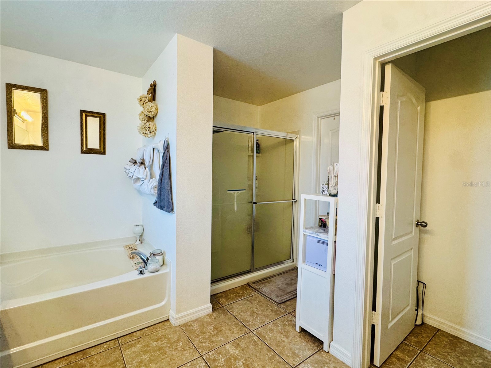 1868 Monte Cristo Lane Kissimmee FL 34758 S5151929 image31