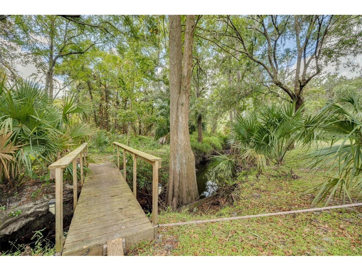 1868 Overview Drive New Port Richey FL 34655 TB8440358 image45