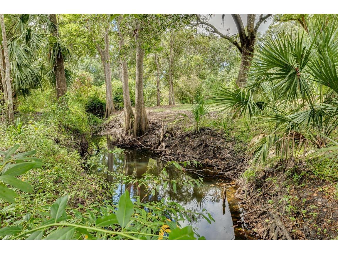 1868 Overview Drive New Port Richey FL 34655 TB8440358 image46