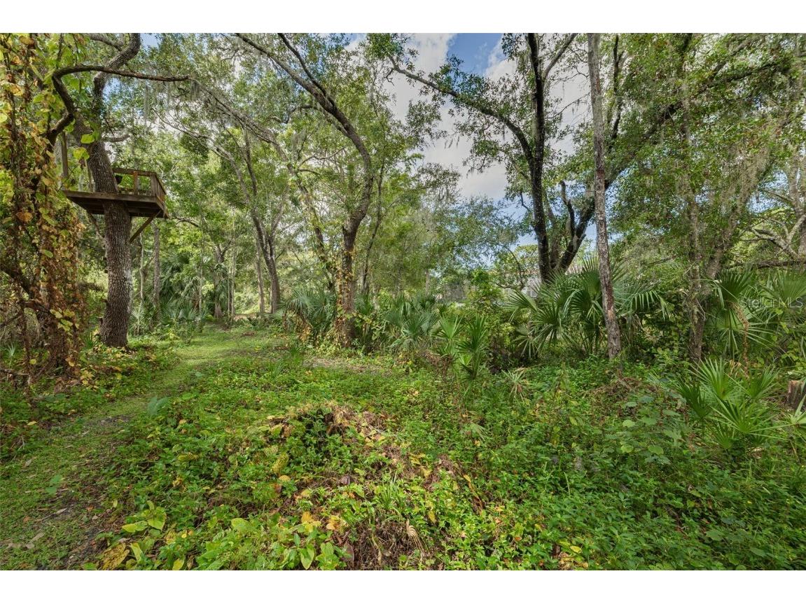 1868 Overview Drive New Port Richey FL 34655 TB8440358 image48