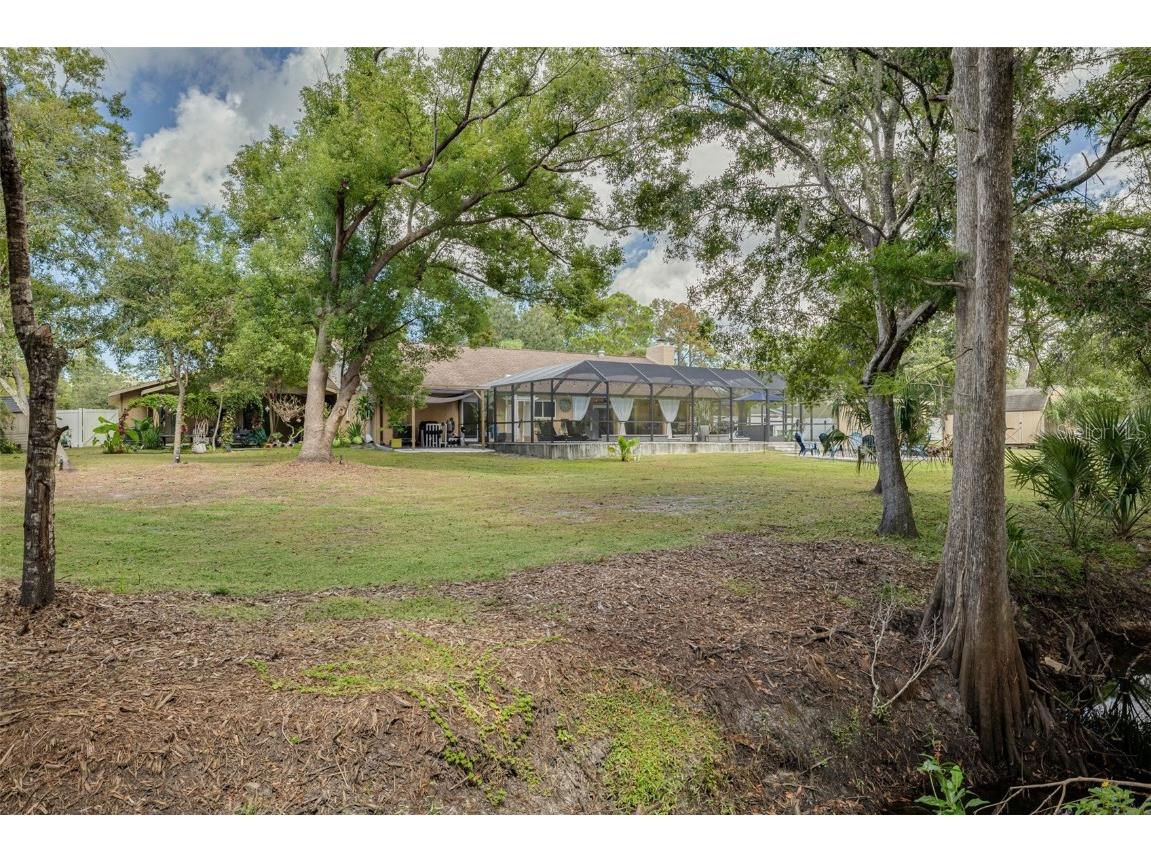 1868 Overview Drive New Port Richey FL 34655 TB8440358 image50