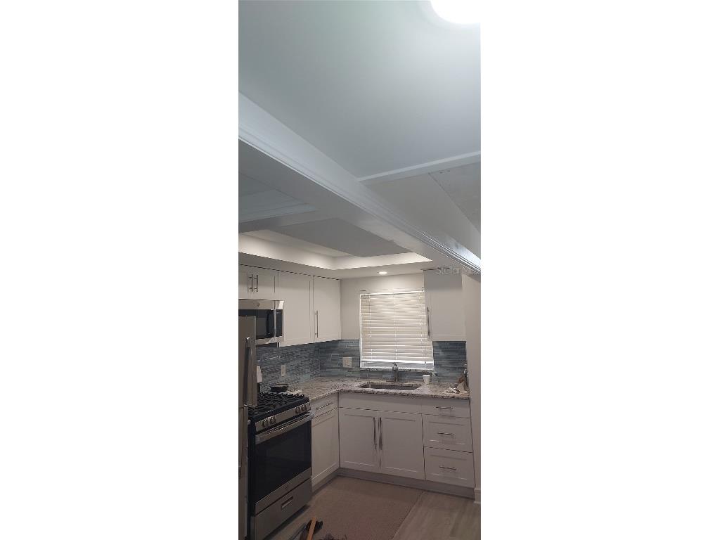 1868 Shore Drive S #102 South Pasadena FL 33707 TB8312970 image9