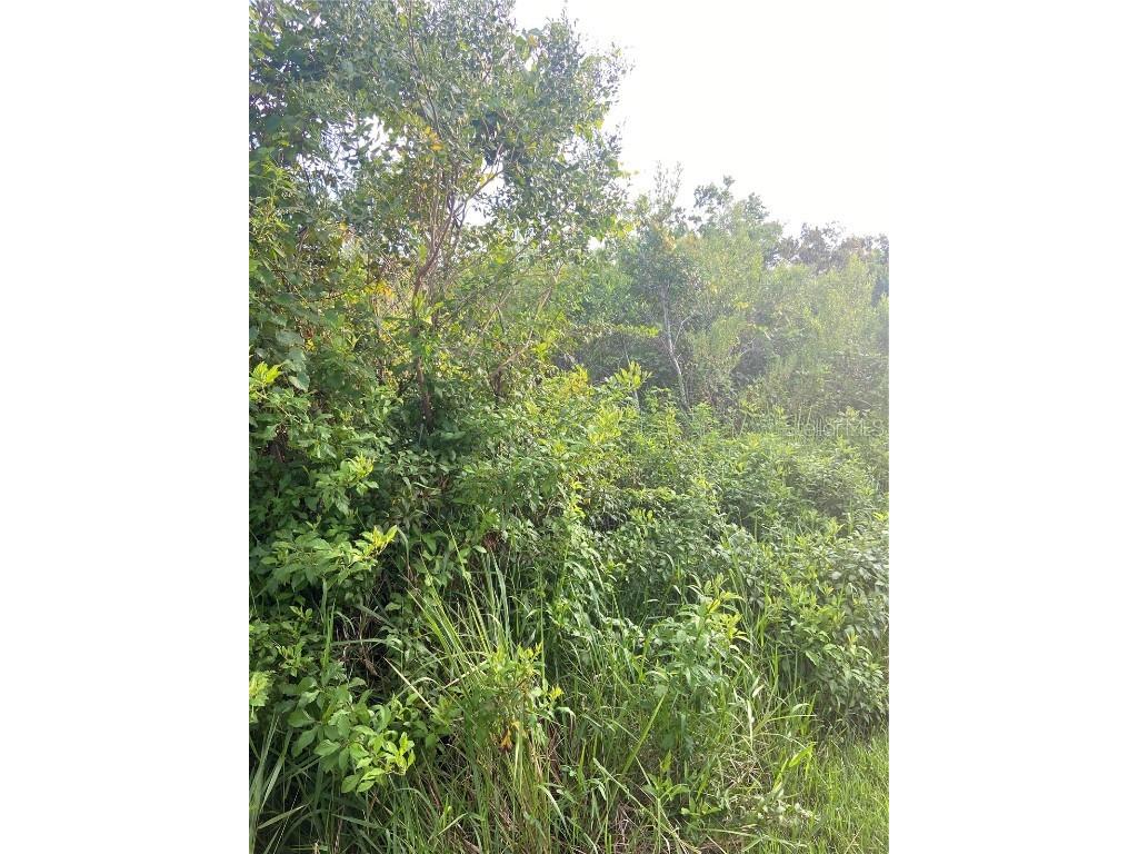 1869 Firethorn Road NW Palm Bay FL 32907 O6233199 image1