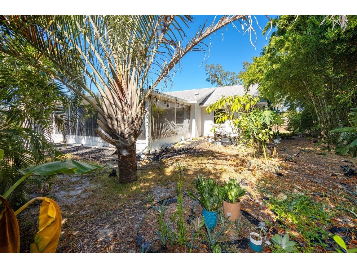 1869 Seton Drive Clearwater FL 33763 TB8437873 image33