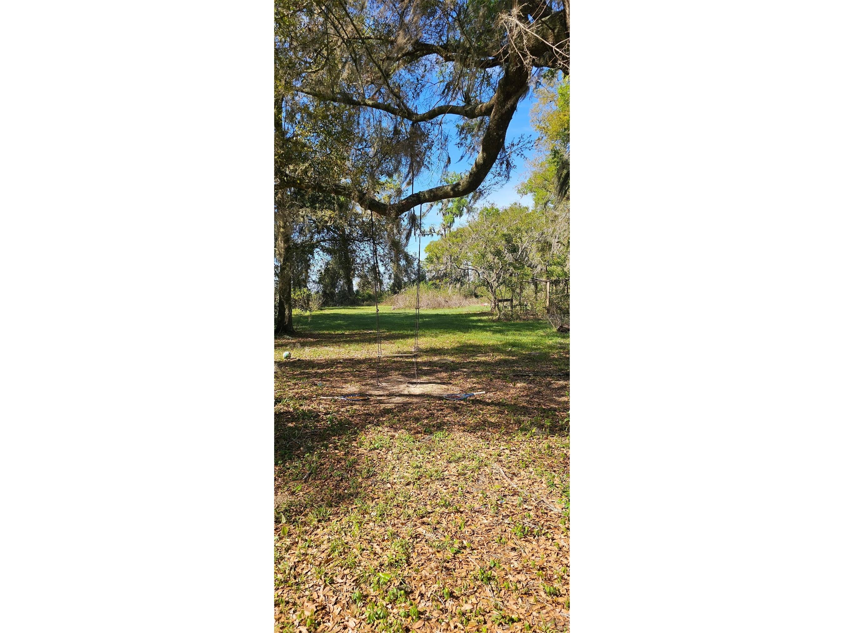 1869 SW 32nd Place Bell FL 32619 OM723972 image28