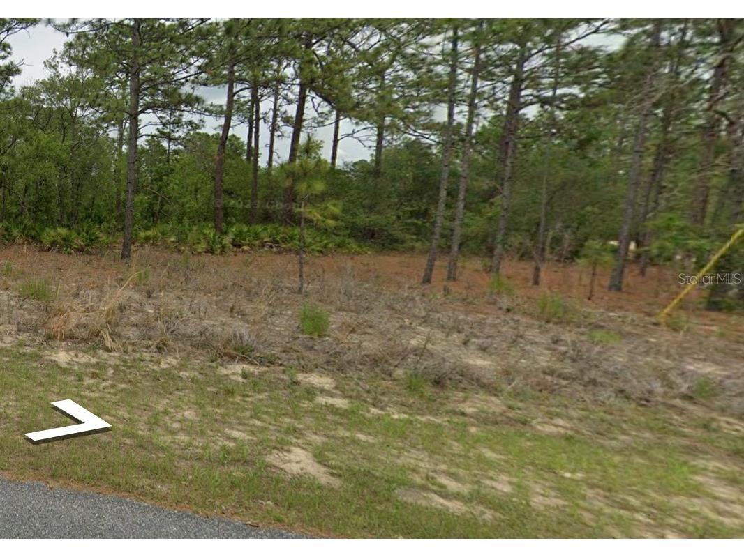 1869 W Riley Drive Citrus Springs FL 34434 T3454328 image1