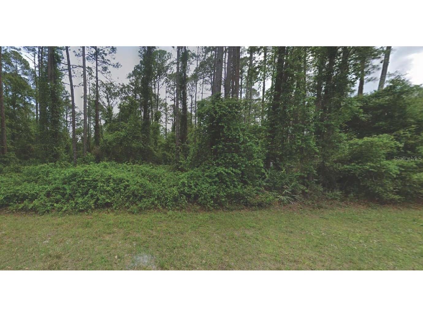 187 Georgetown Denver Road Georgetown FL 32139 OM672126 image1