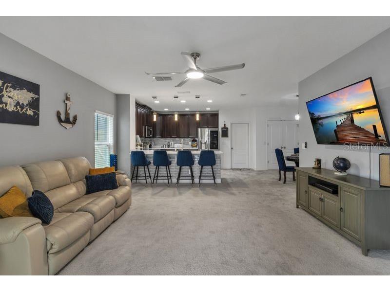 187 Hydra Way Groveland FL 34736 S5145802 image7