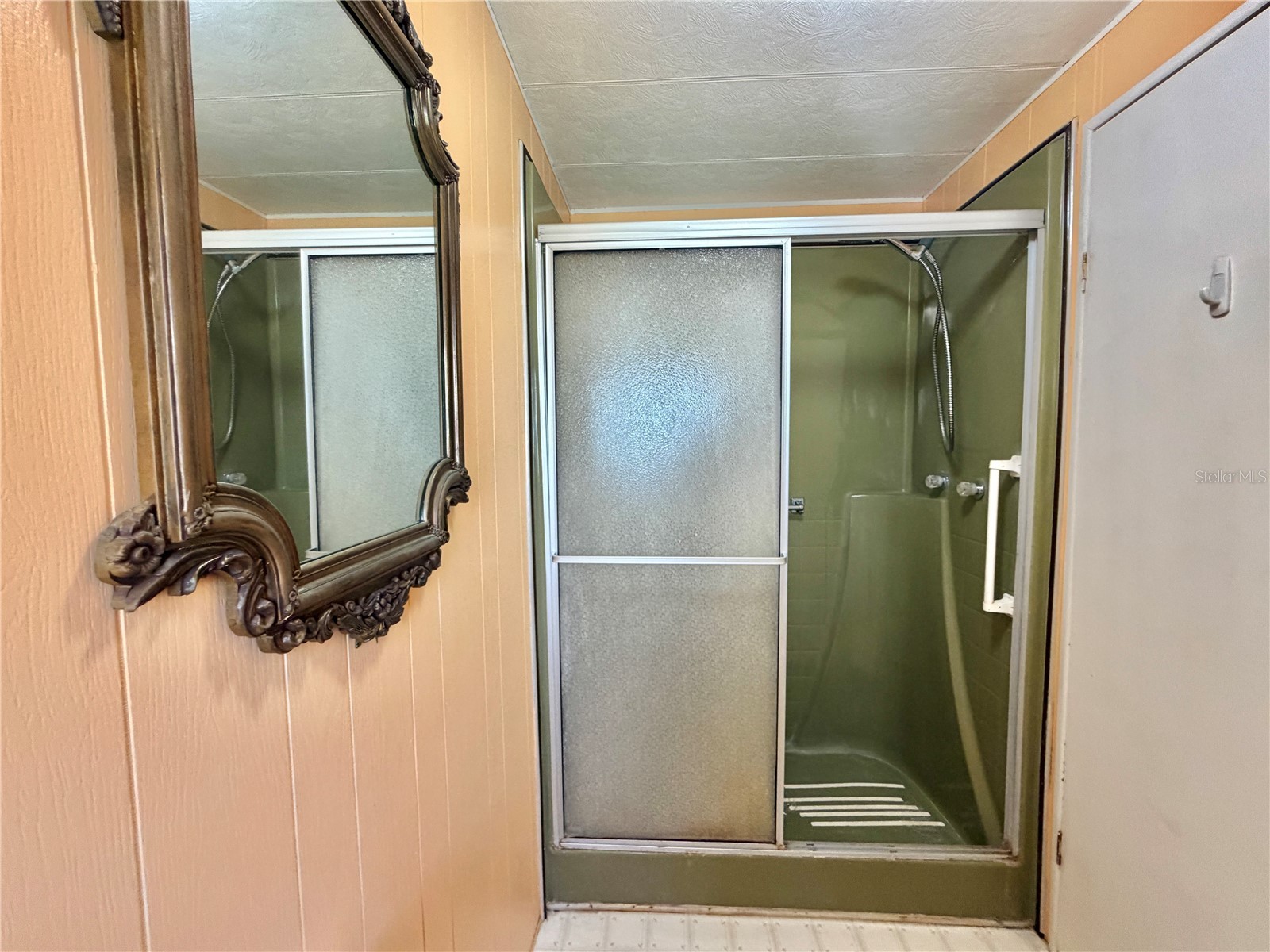 187 Jacaranda Drive Leesburg FL 34748 G5110829 image37