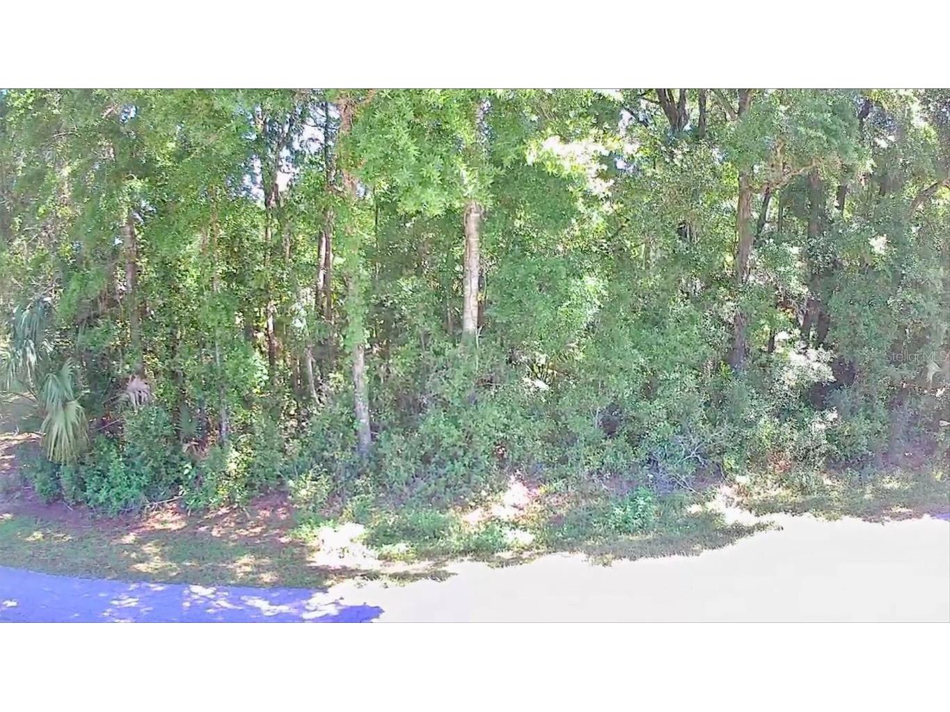 187 N Rooks Avenue Inverness FL 34453 U8237698 image1