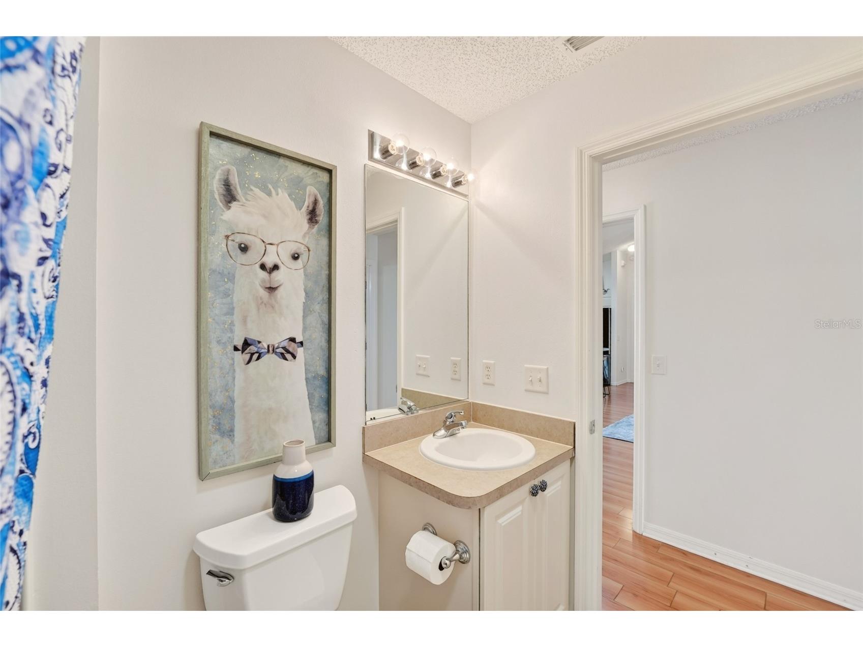 187 Olanta Drive The Villages FL 32162 G5115089 image43