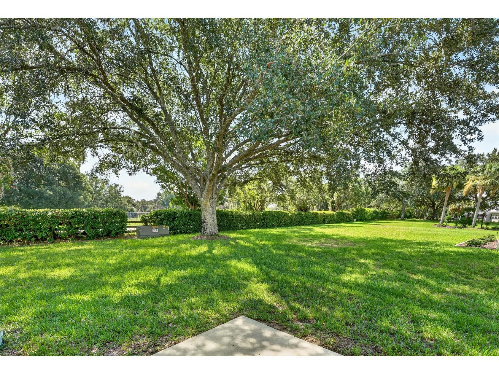 187 Olanta Drive The Villages FL 32162 G5115089 image62