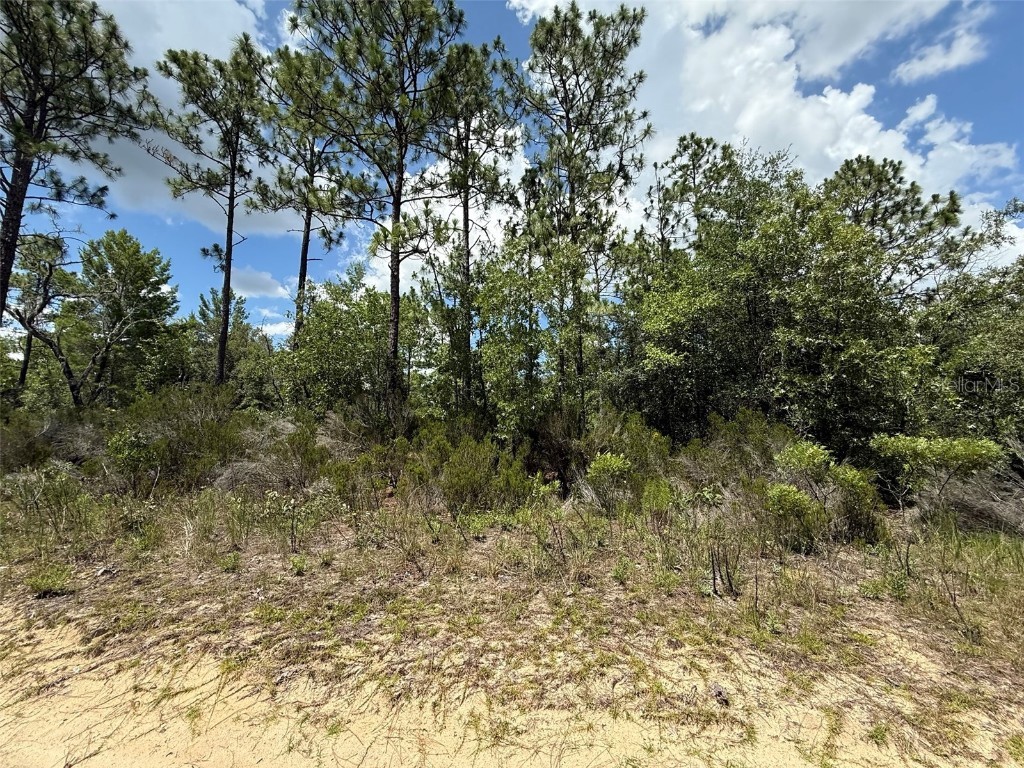 187 Paris Street Interlachen FL 32148 OK225367 image1