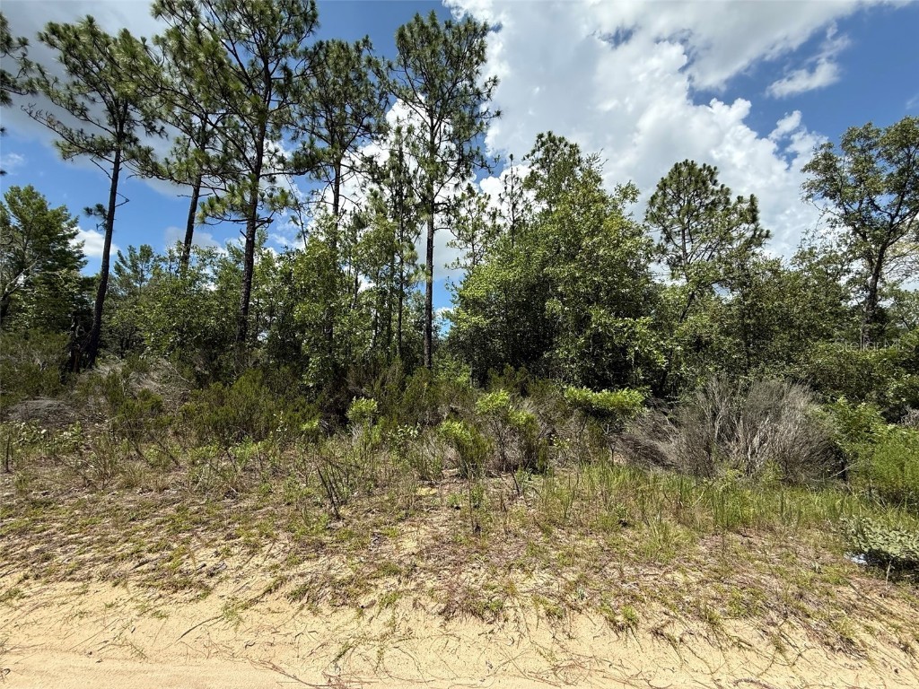 187 Paris Street Interlachen FL 32148 OK225367 image2