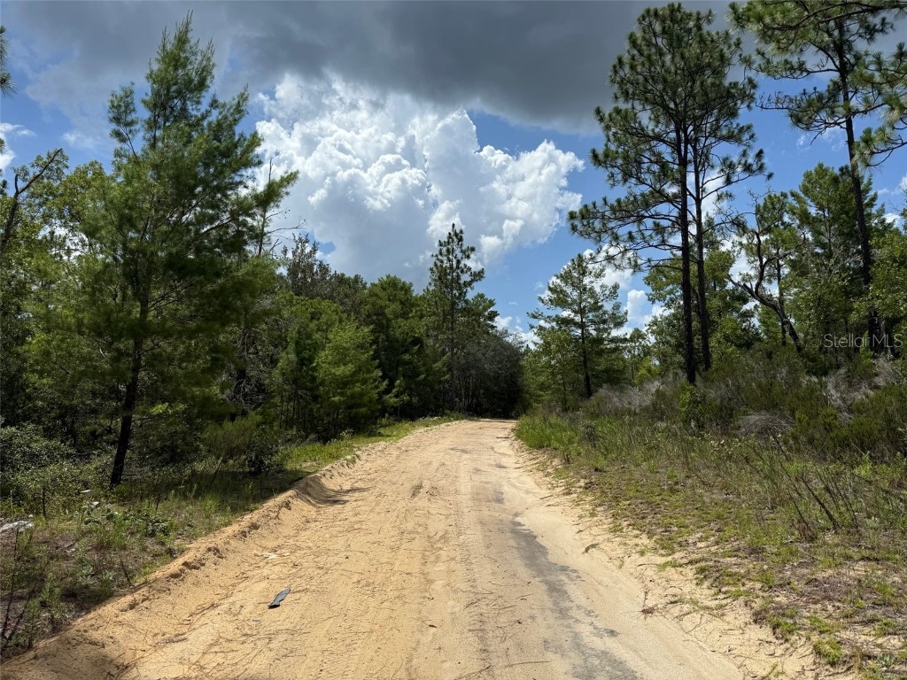 187 Paris Street Interlachen FL 32148 OK225367 image4