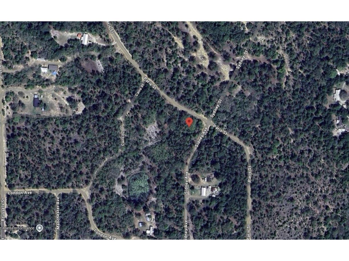 187 Paris Street Interlachen FL 32148 OK225367 image5