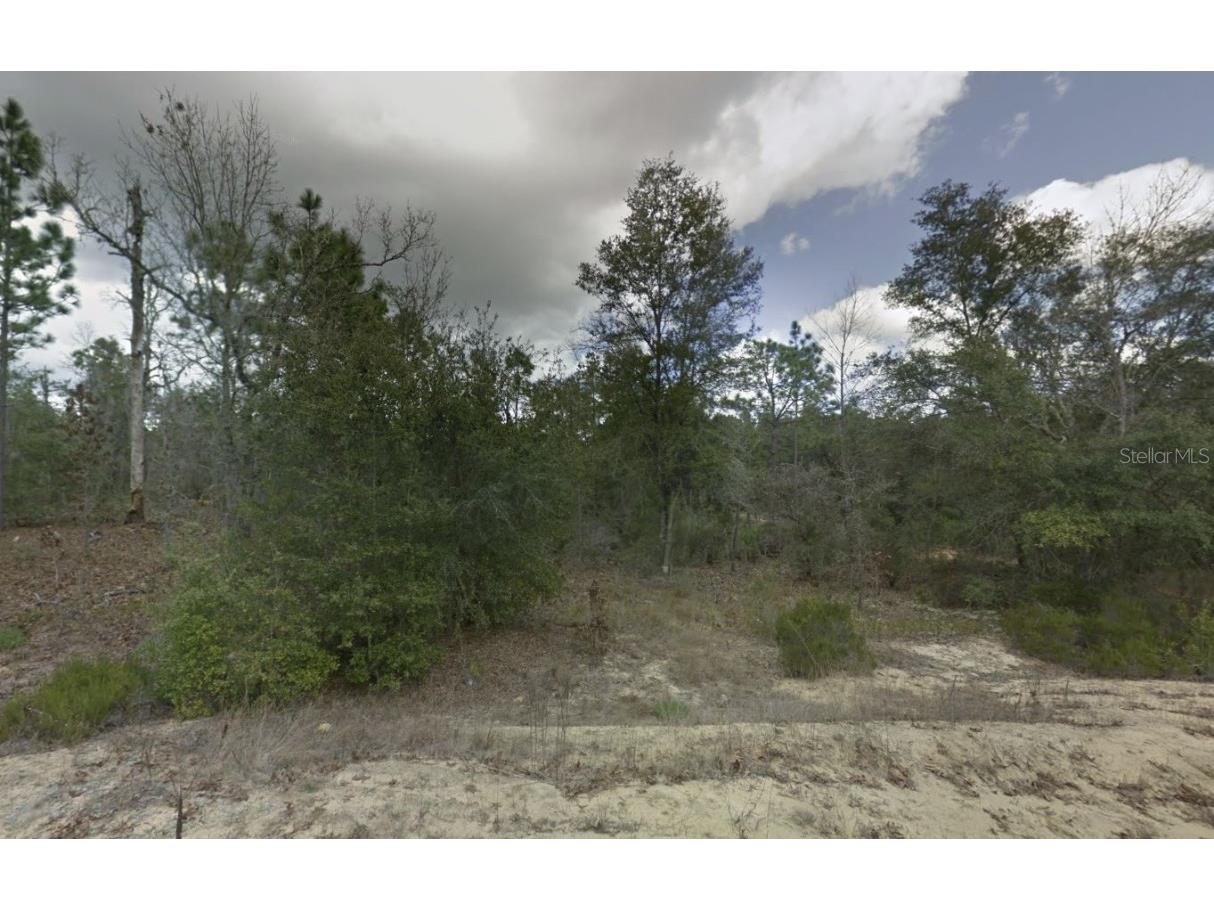 187 Paris Street Interlachen FL 32148 OK225367 image6