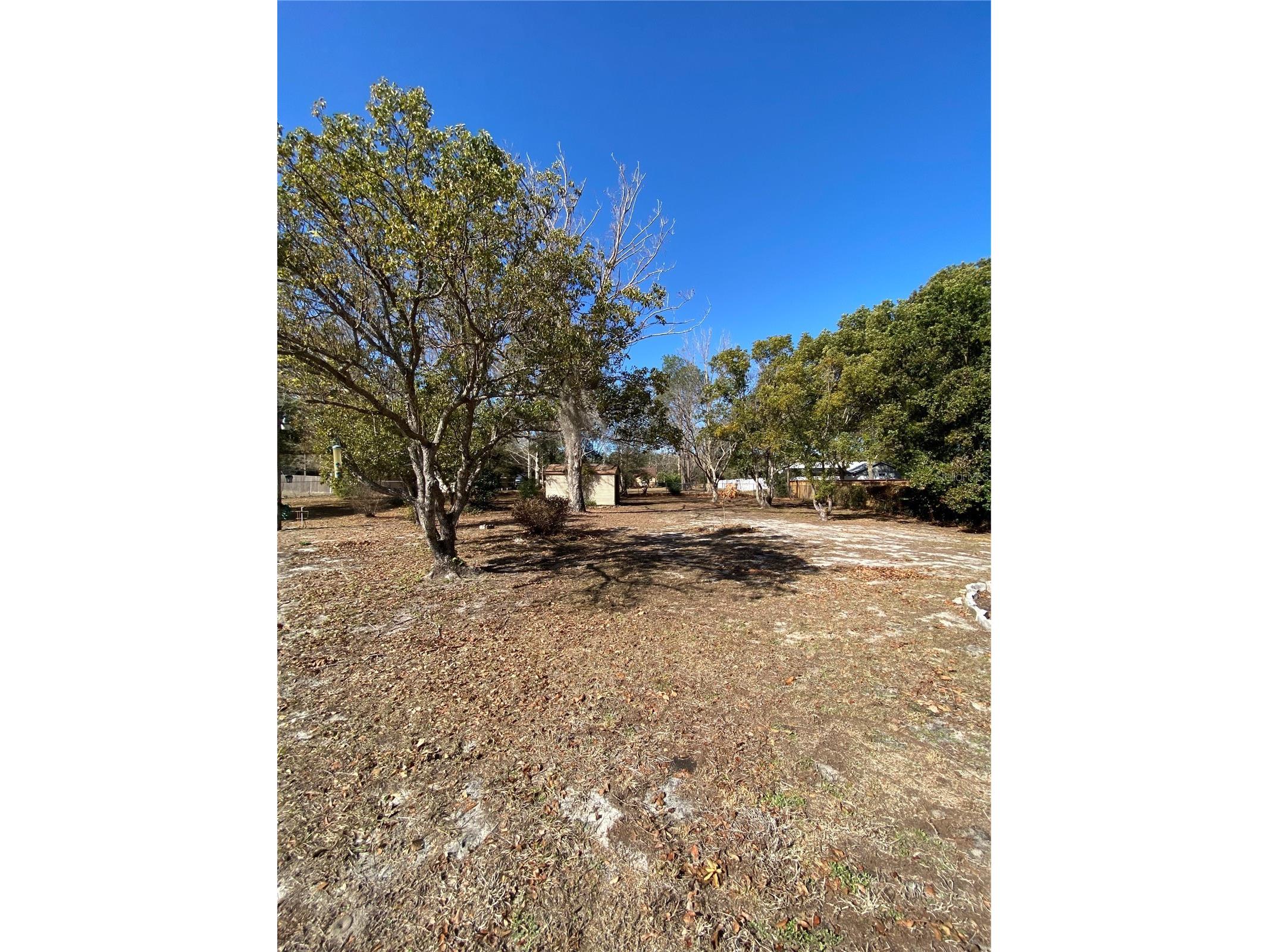 1870 Crowley Circle E Longwood FL 32779 O6381416 image12