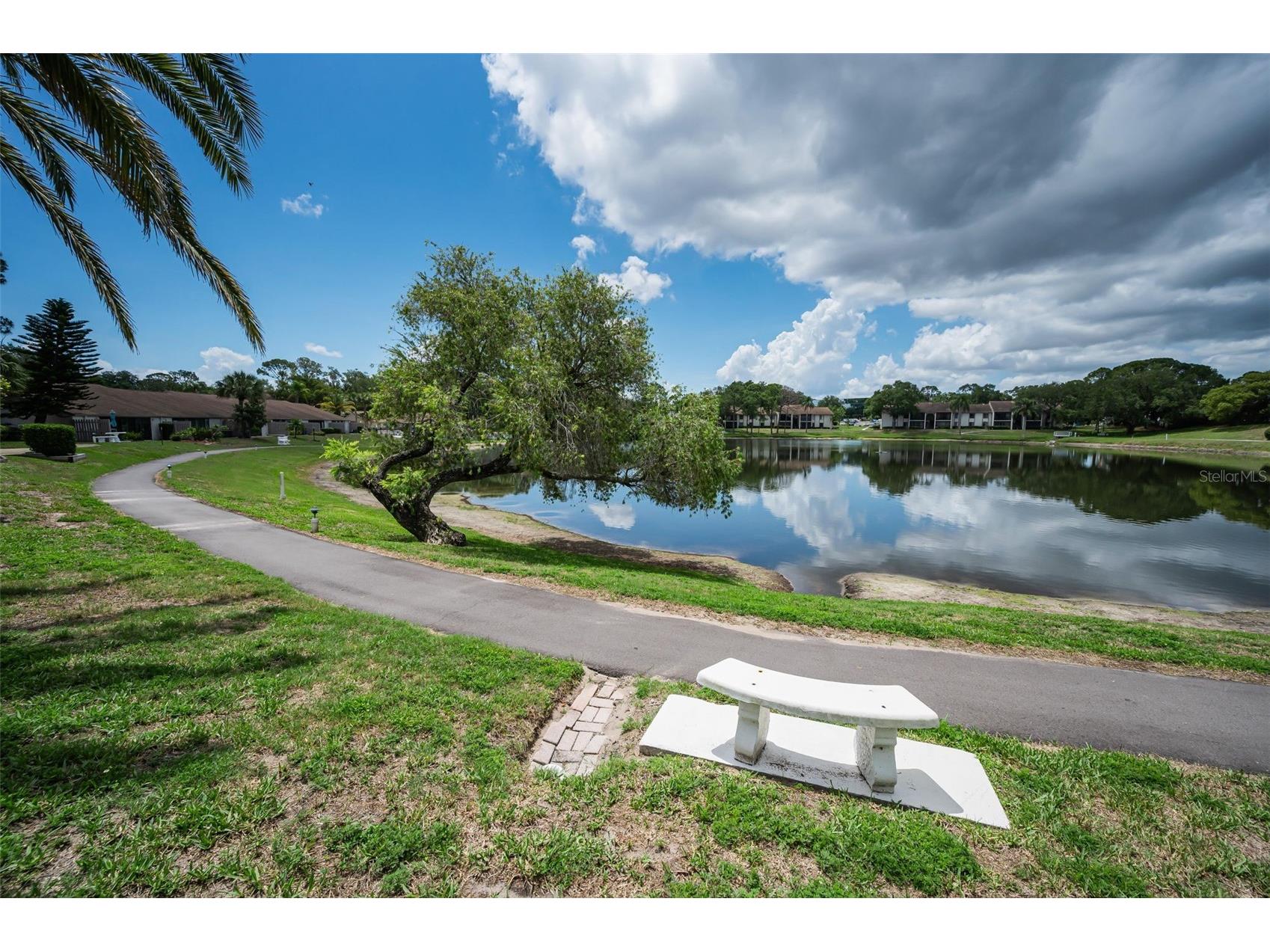 1870 Pine Ridge Way W #G1 Palm Harbor FL 34684 TB8508760 image4
