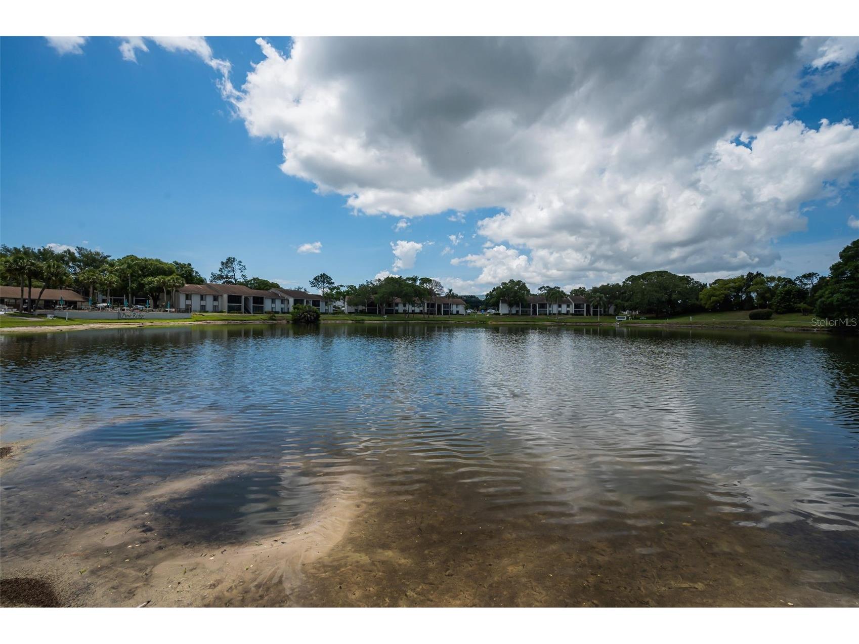 1870 Pine Ridge Way W #G1 Palm Harbor FL 34684 TB8508760 image41