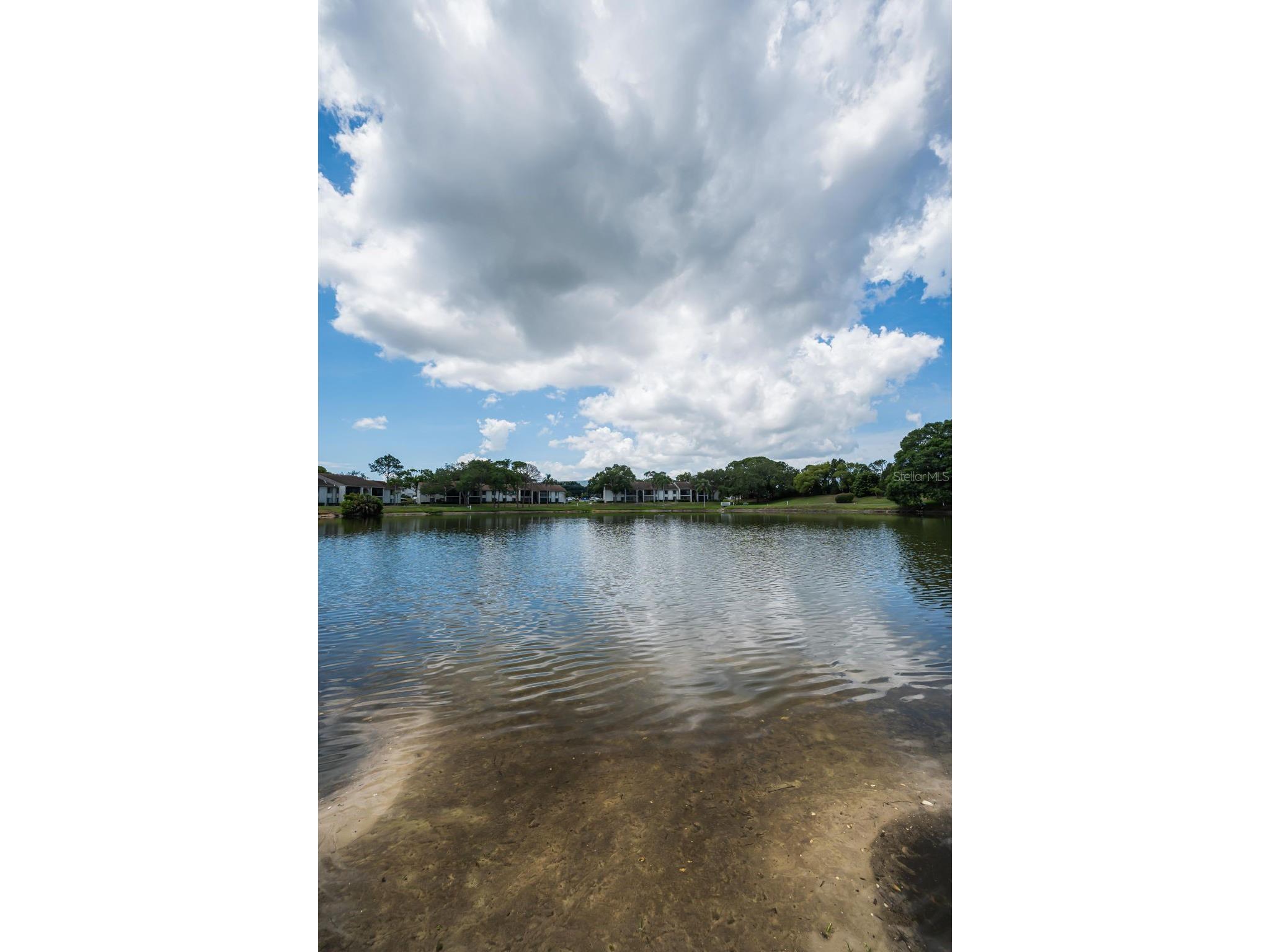 1870 Pine Ridge Way W #G1 Palm Harbor FL 34684 TB8508760 image42