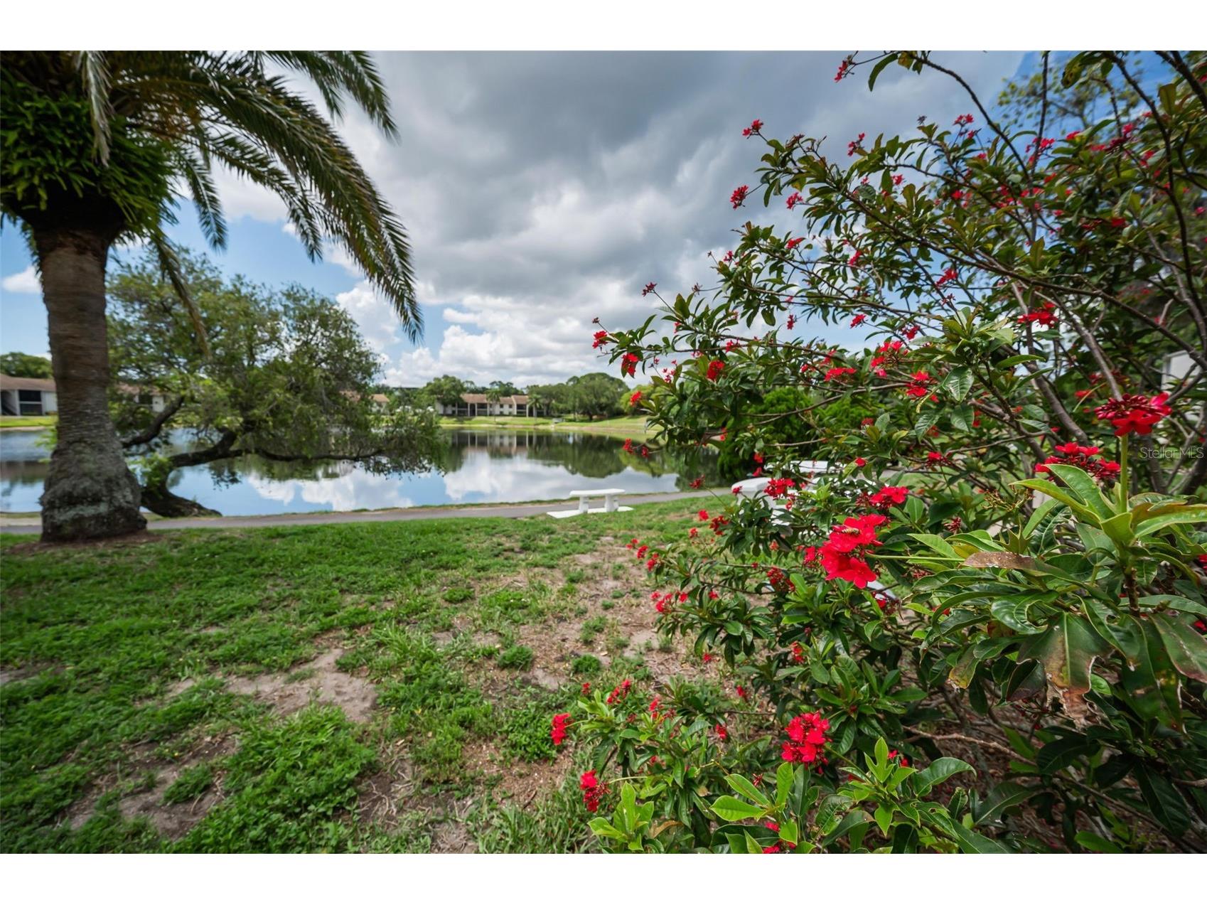 1870 Pine Ridge Way W #G1 Palm Harbor FL 34684 TB8508760 image44
