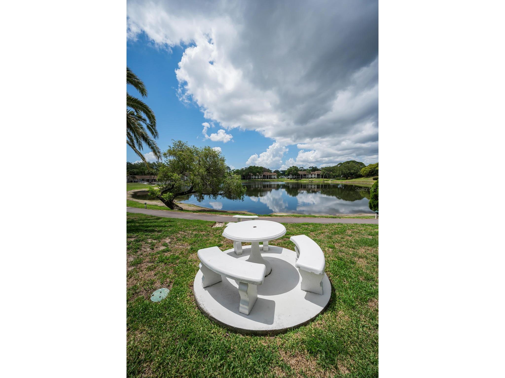 1870 Pine Ridge Way W #G1 Palm Harbor FL 34684 TB8508760 image45