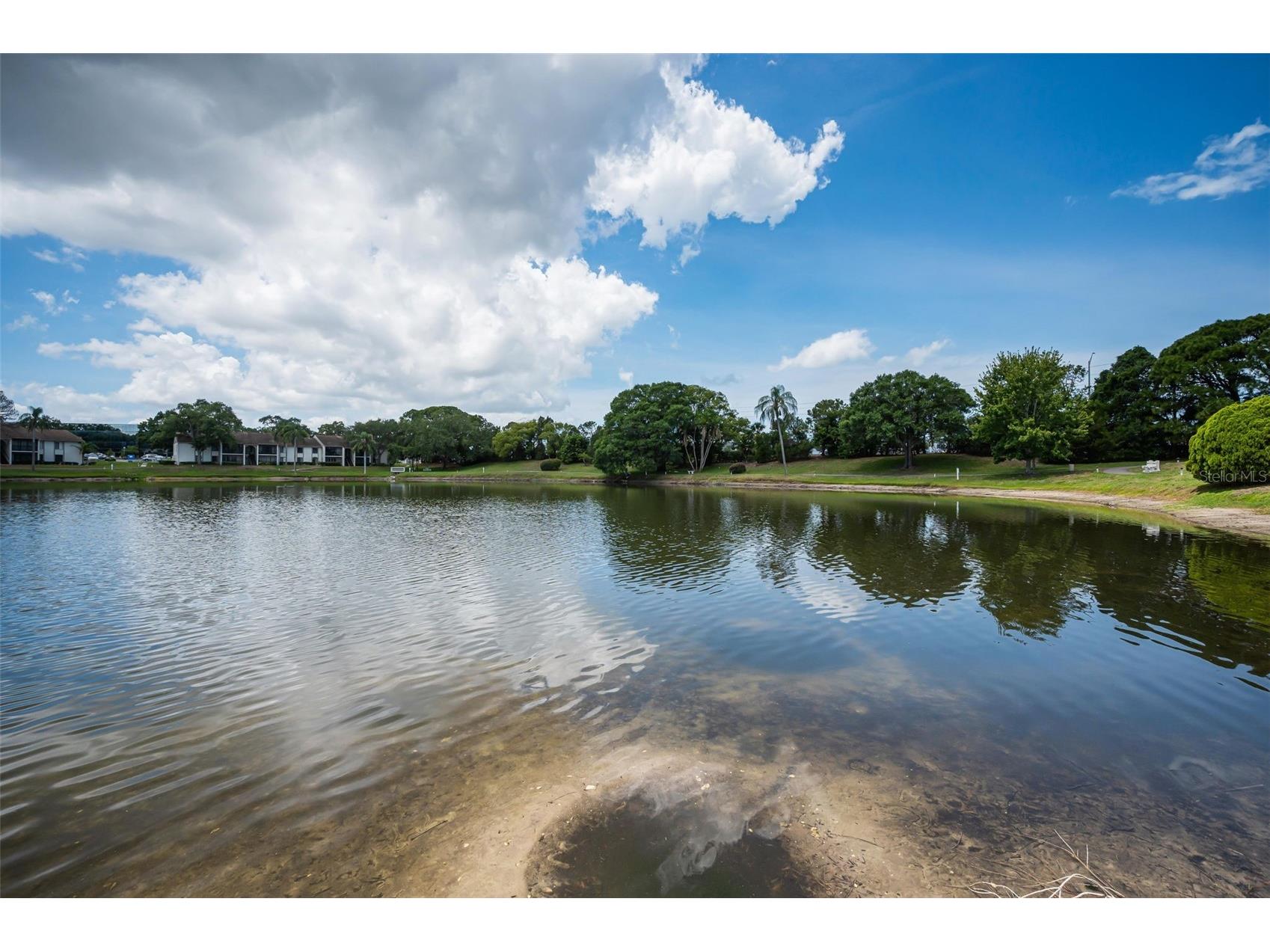 1870 Pine Ridge Way W #G1 Palm Harbor FL 34684 TB8508760 image5