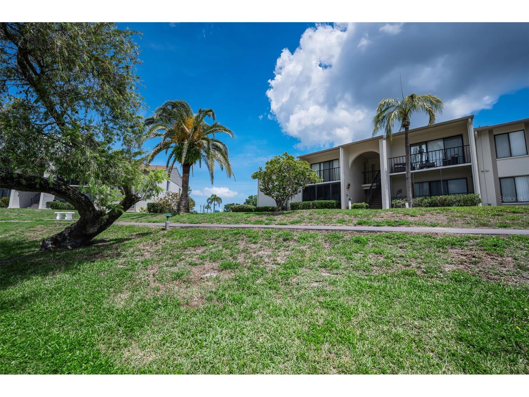 1870 Pine Ridge Way W #G1 Palm Harbor FL 34684 TB8508760 image7