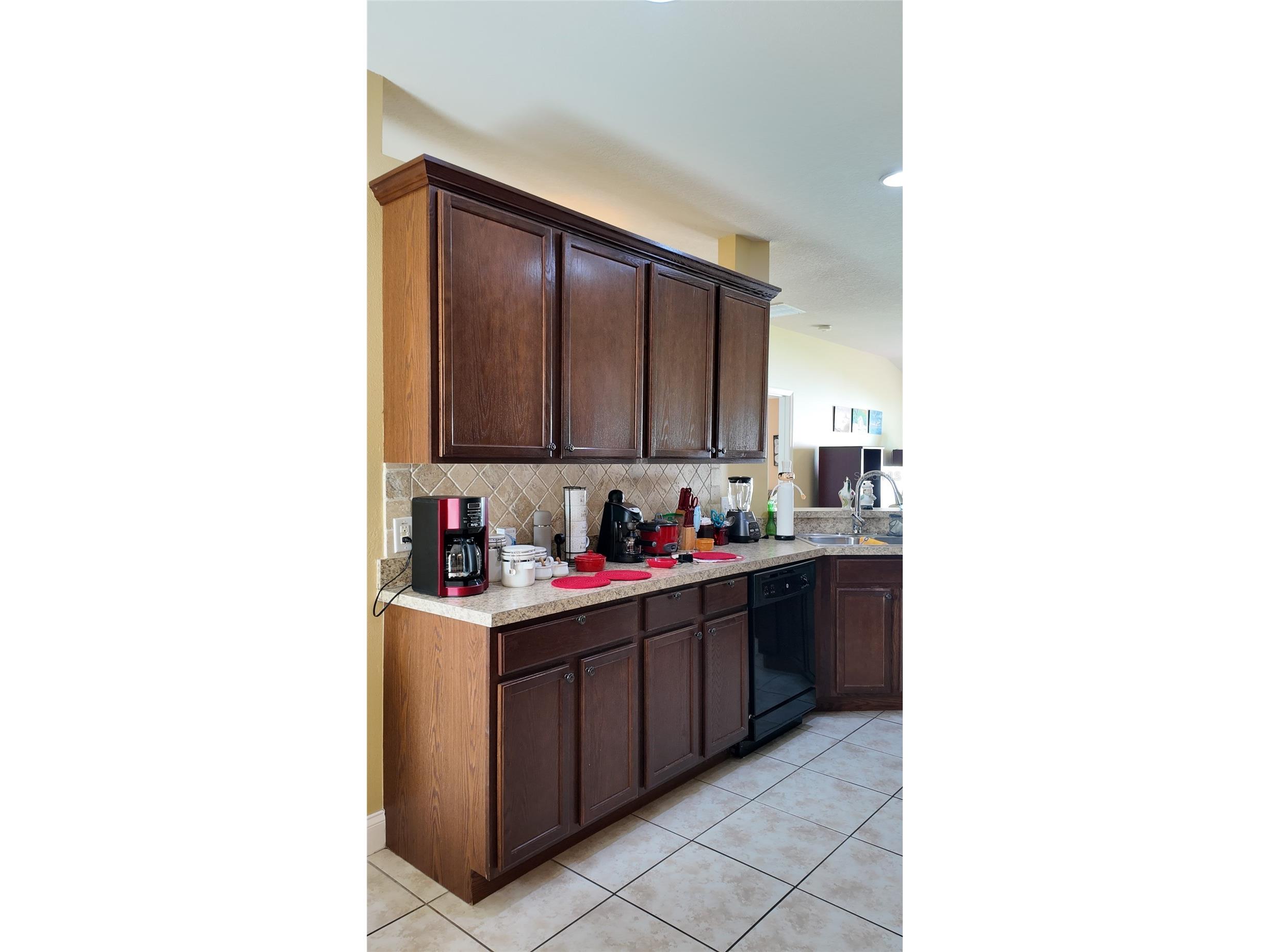 1870 Rufus King Drive Saint Cloud FL 34769 S5153077 image11