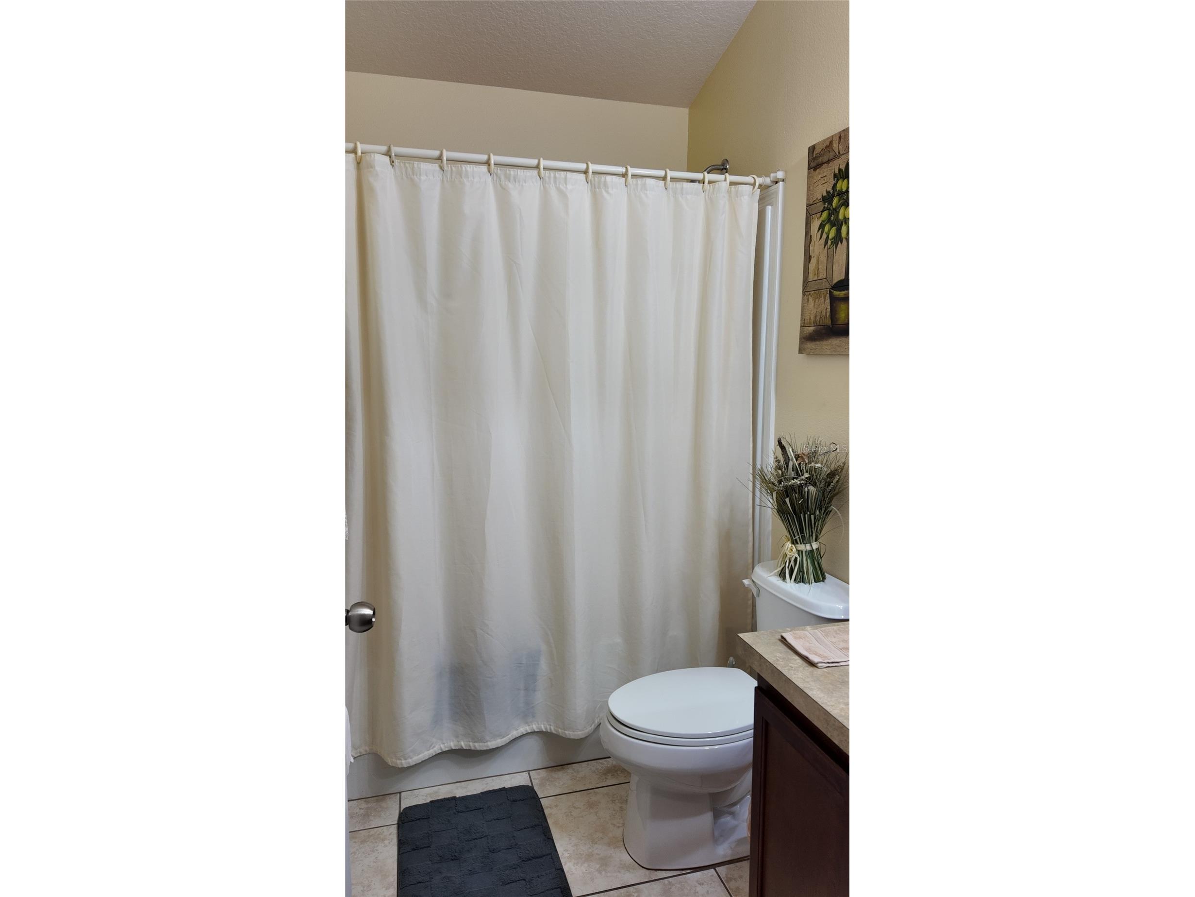 1870 Rufus King Drive Saint Cloud FL 34769 S5153077 image24