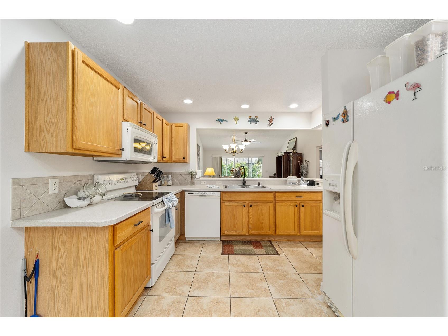 1870 Treadwell Terrace The Villages FL 32162 G5112342 image20