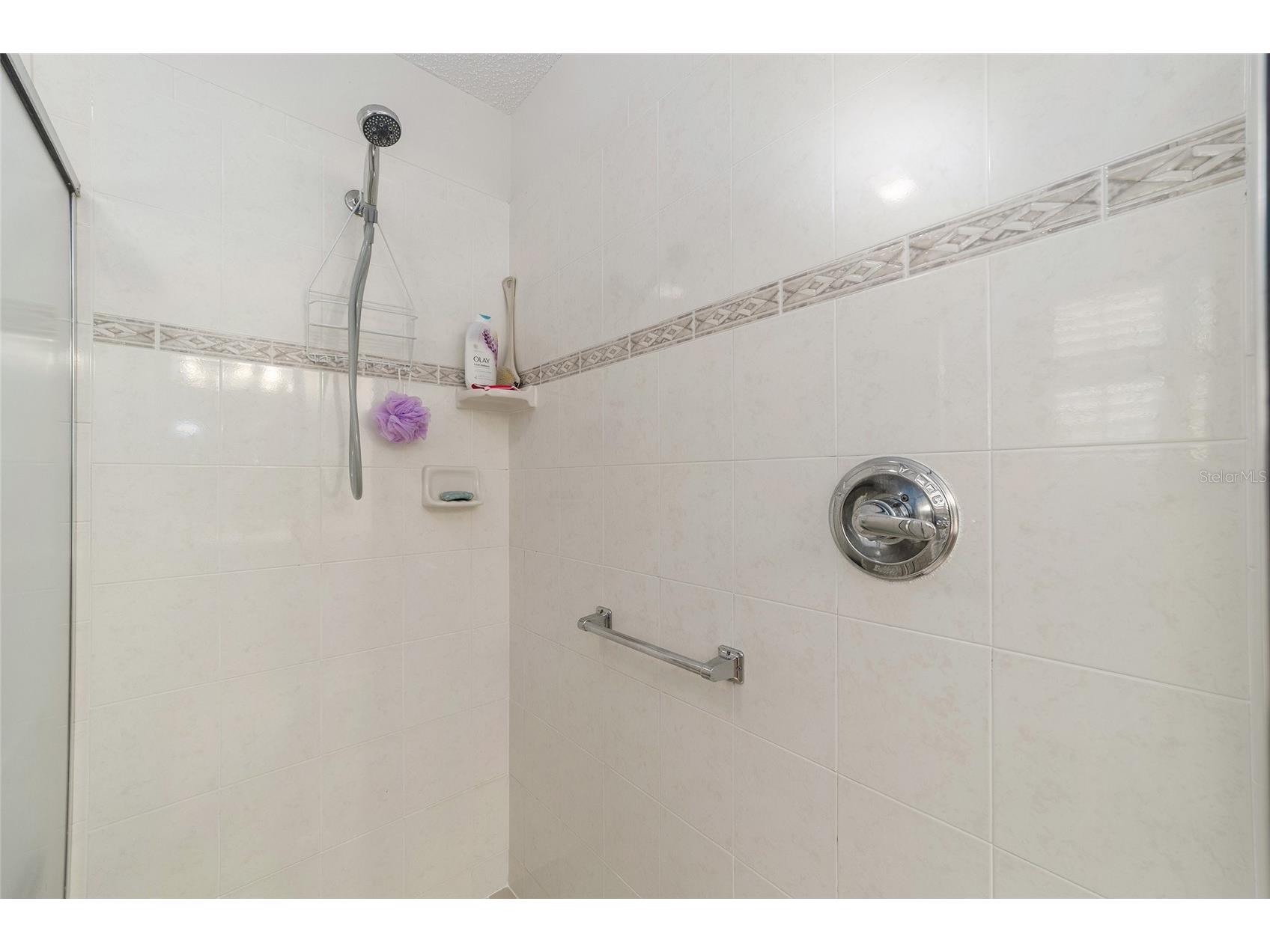 1870 Treadwell Terrace The Villages FL 32162 G5112342 image25