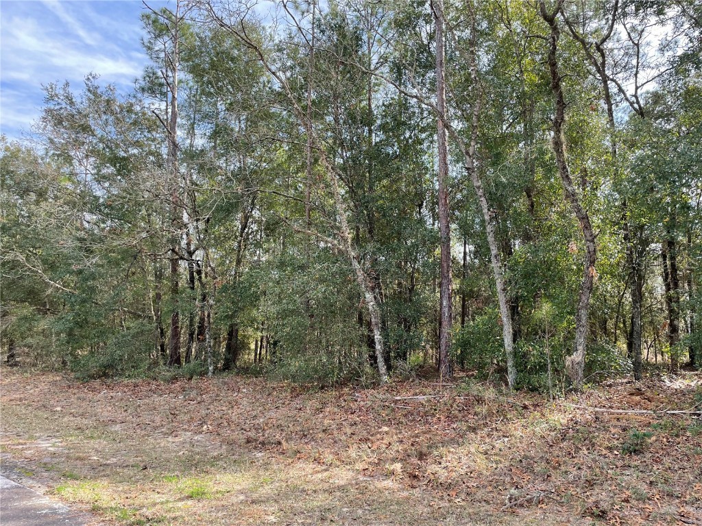 1870 W Alhambra Drive Citrus Springs FL 34434 O6086356 image1